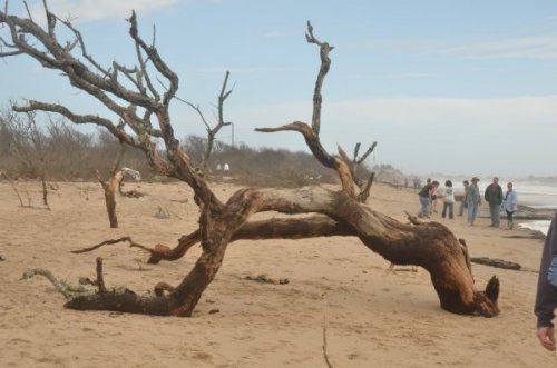 sandy-matunuck