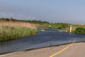 Flooded roadway