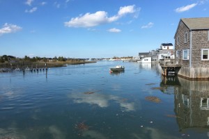 King Tide on 10/19/16, Ocean Ave, Newport, RI
Photo by Kristen O'Neil